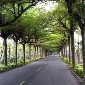 Meet your Posher, Iris